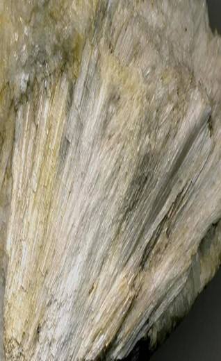 Brown asbestos fibres
